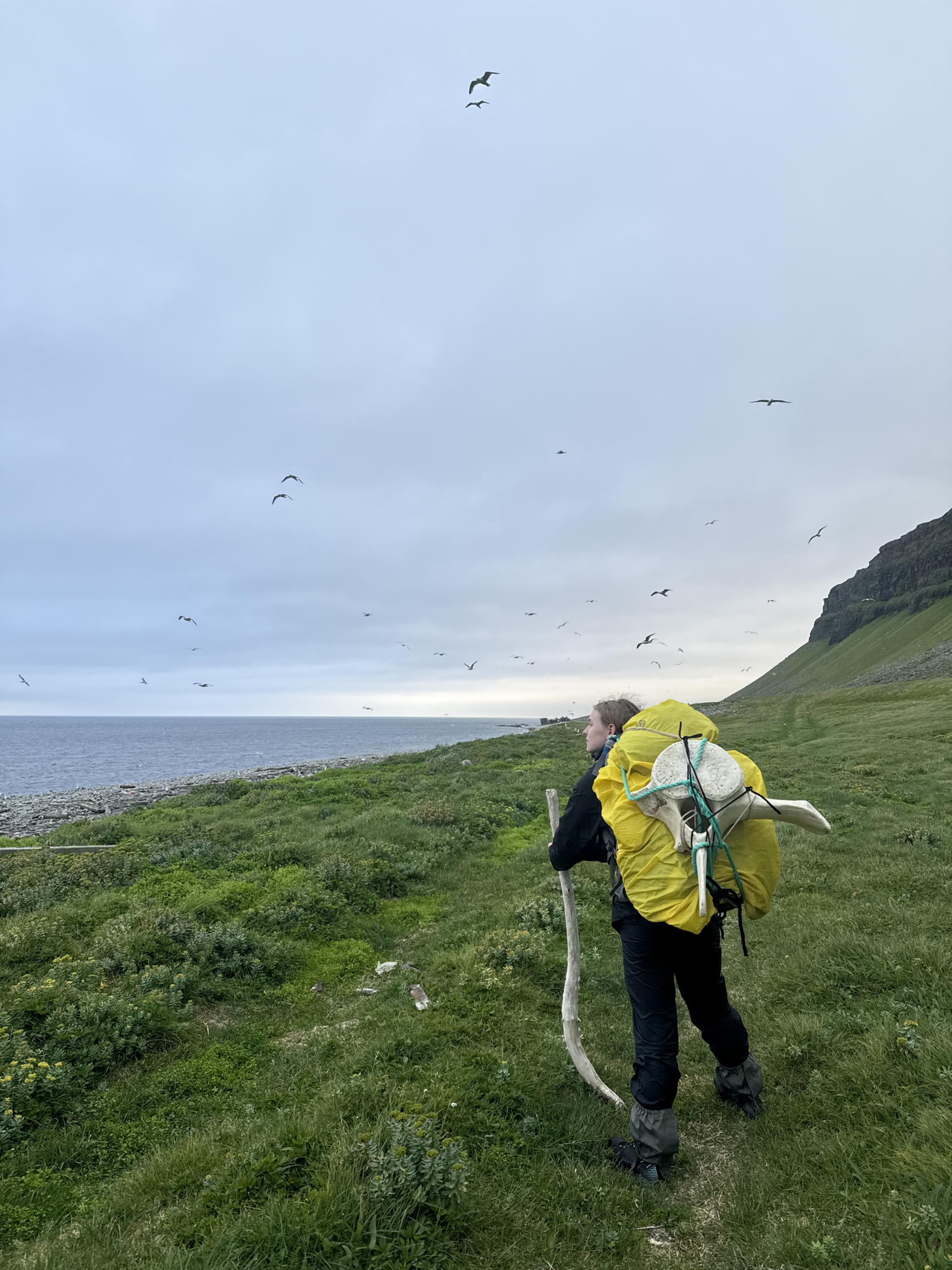 Лекция в экоцентре Сборка: «Микропластик в Арктике: от берегов Кильдина до тканей морских организмов»
