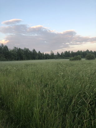 Земельные отношения в Ленинградской области.  Судебная практика