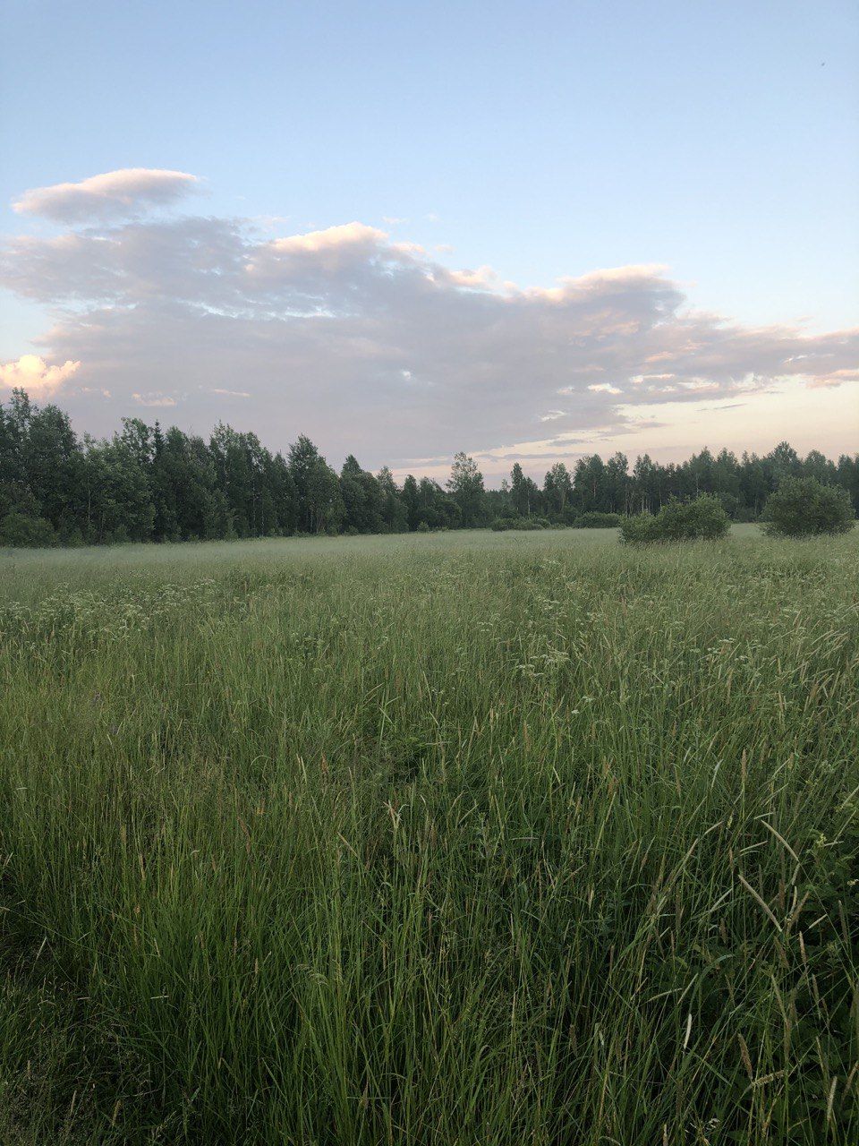 Земельные отношения в Ленинградской области. Судебная практика