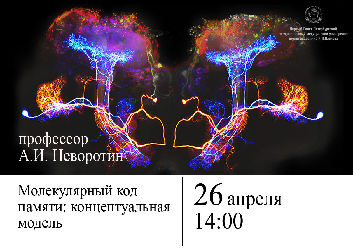 Код памяти. Молекулярный код. Неворотин Алексей Иосифович.