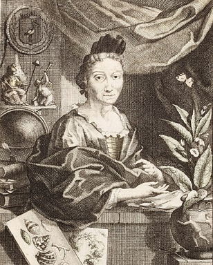 Лекция "Неизвестная знаменитость – Мария Сибилла Мериа́н (1647–1717)"(СПб+онлайн)