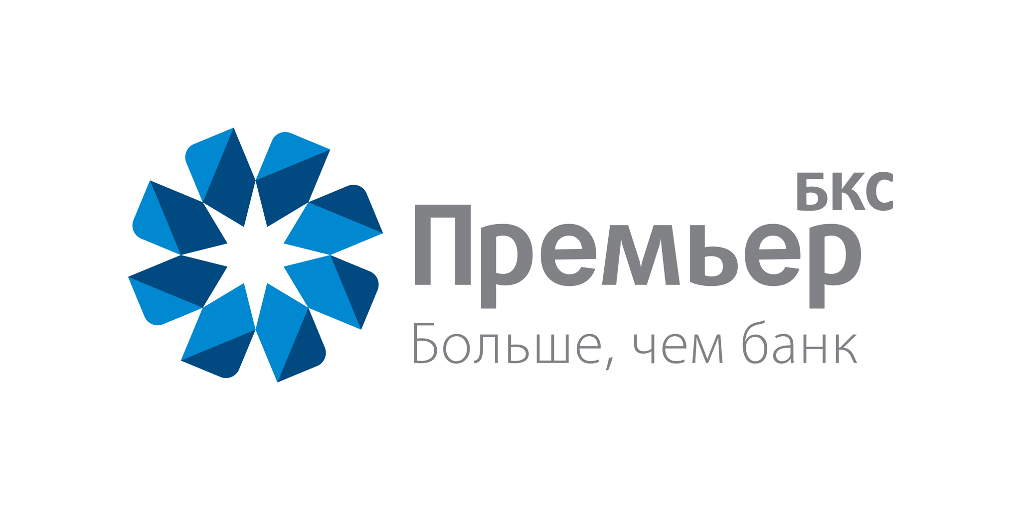 Премьер партнер