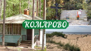 Волшебные тайны русского языка и тайные коды мировой культуры (Комарово)