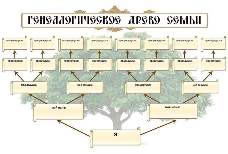 Генеалогия в соцсетях