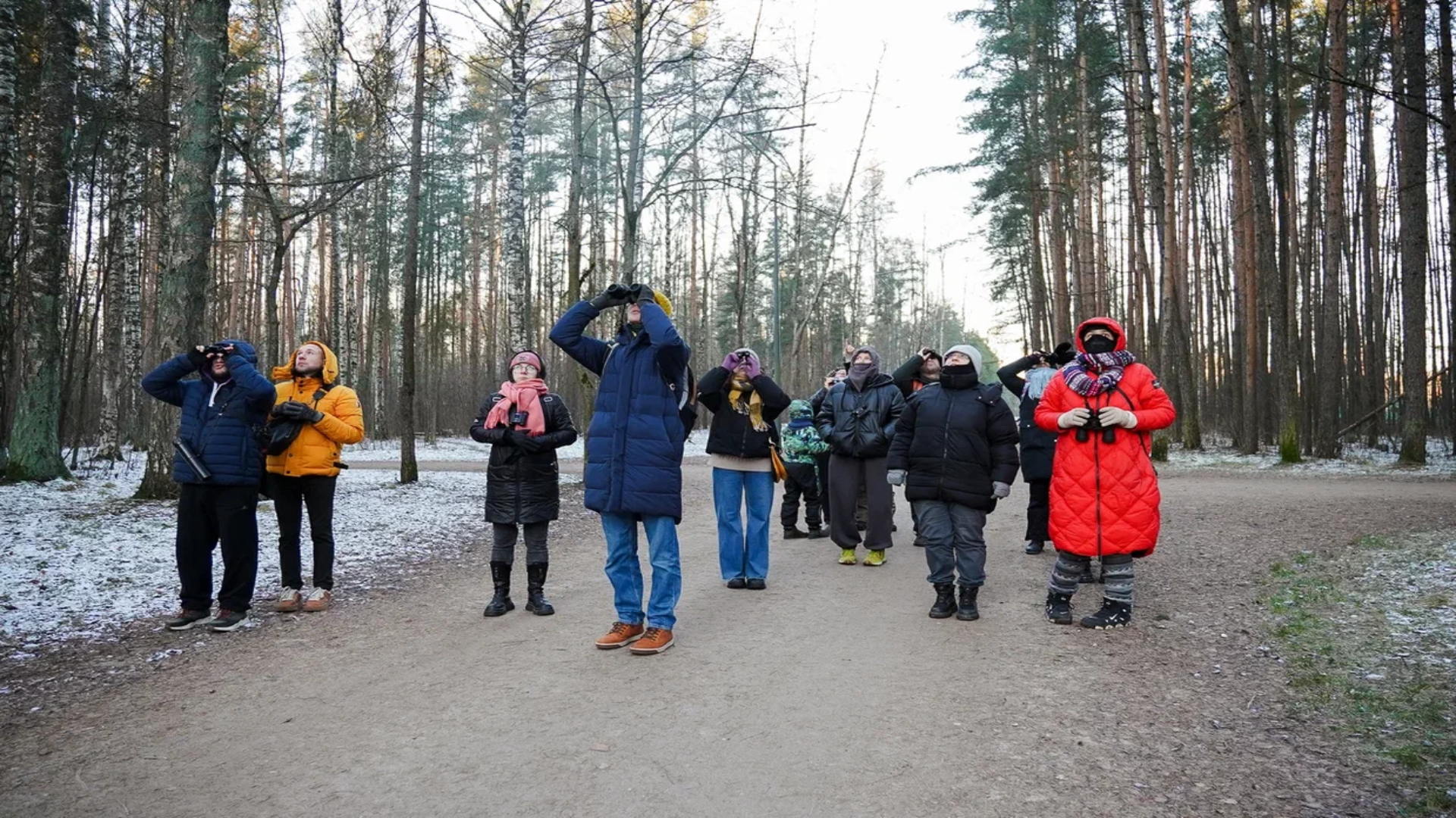 Бесплатная орнитологическая экскурсия в парке Сосновка