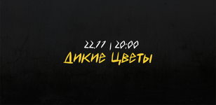 Акустика 55.57  |  Дикие Цветы 
