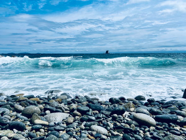 Ужин с шефом: «Путь кочевника»