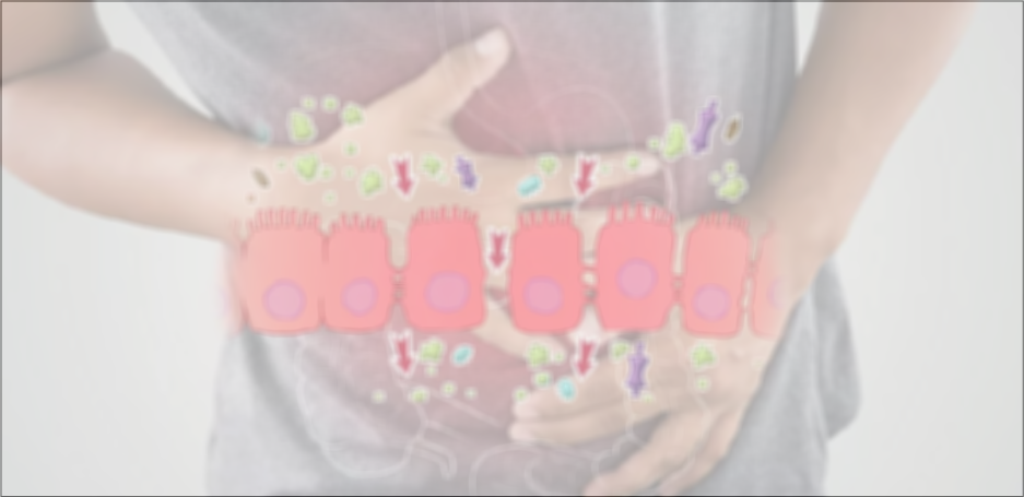 Зонулин —биомаркер для неинвазивной диагностики кишечной проницаемости