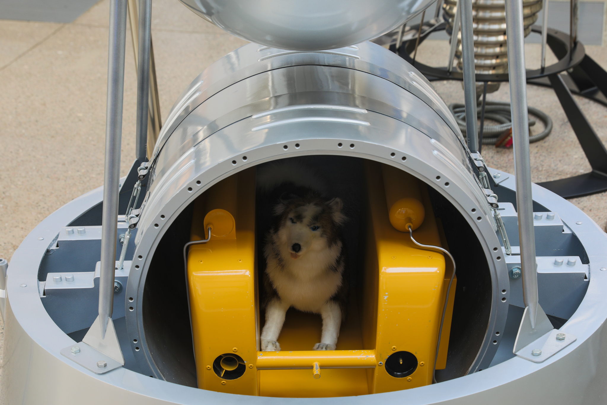 Тематическая экскурсия «Я — Земля! Я своих провожаю питомцев!»