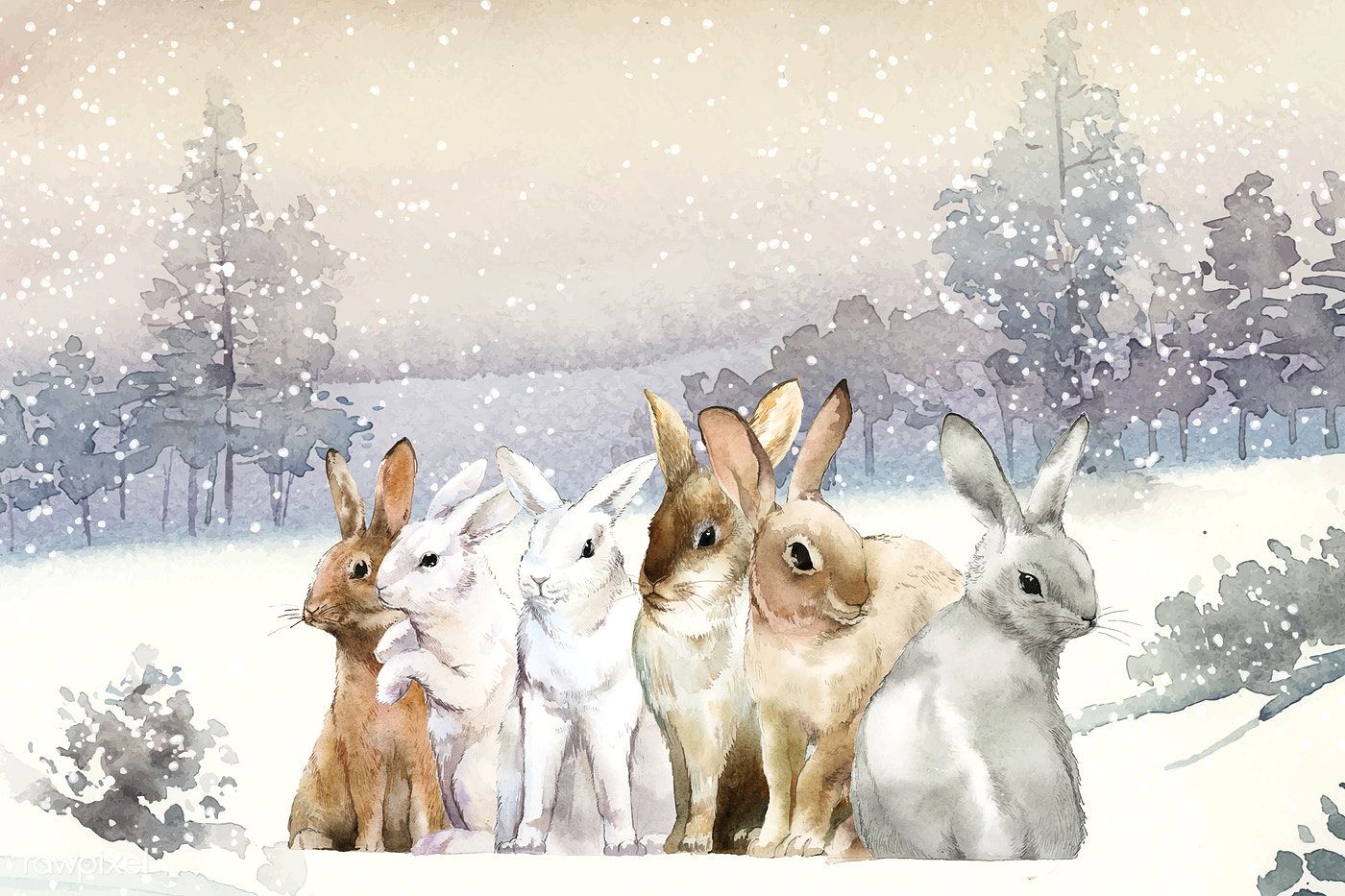 Snow bunny's Christmas wish / События на TimePad.ru.