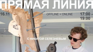 Offline: Прямая линия с Никитой Селезневым. Международный опыт развития карьеры