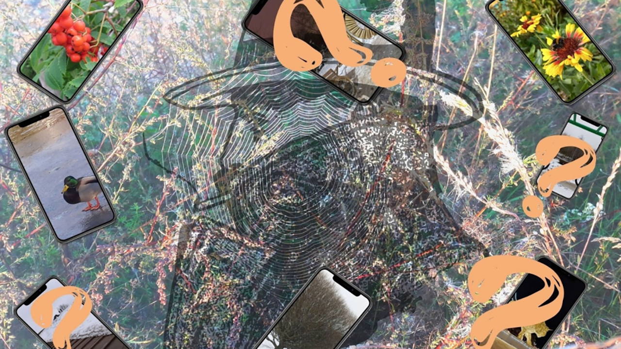 Мобильный квест "Что ищет Пуаро?"