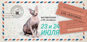 ЛЕТНЯЯ ВЫСТАВКА КОШЕК