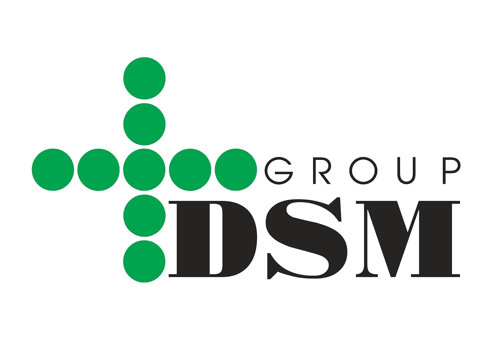 Информационный партнер – DSM Group