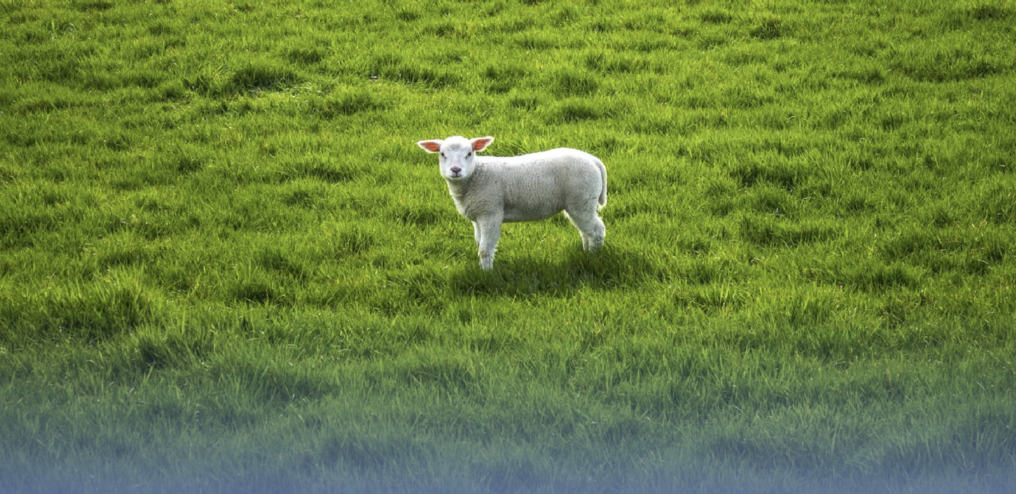 Дружба как путь