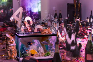 Catparty