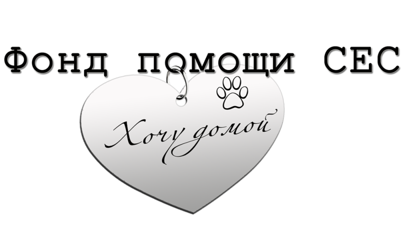 Фонд "Хочу домой"