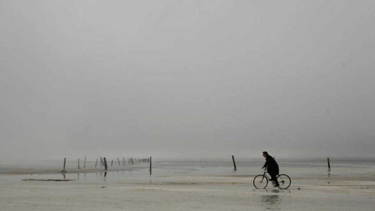 Кинопоказ фильма «бумажный солдат» (2008, реж. а. герман-младший)