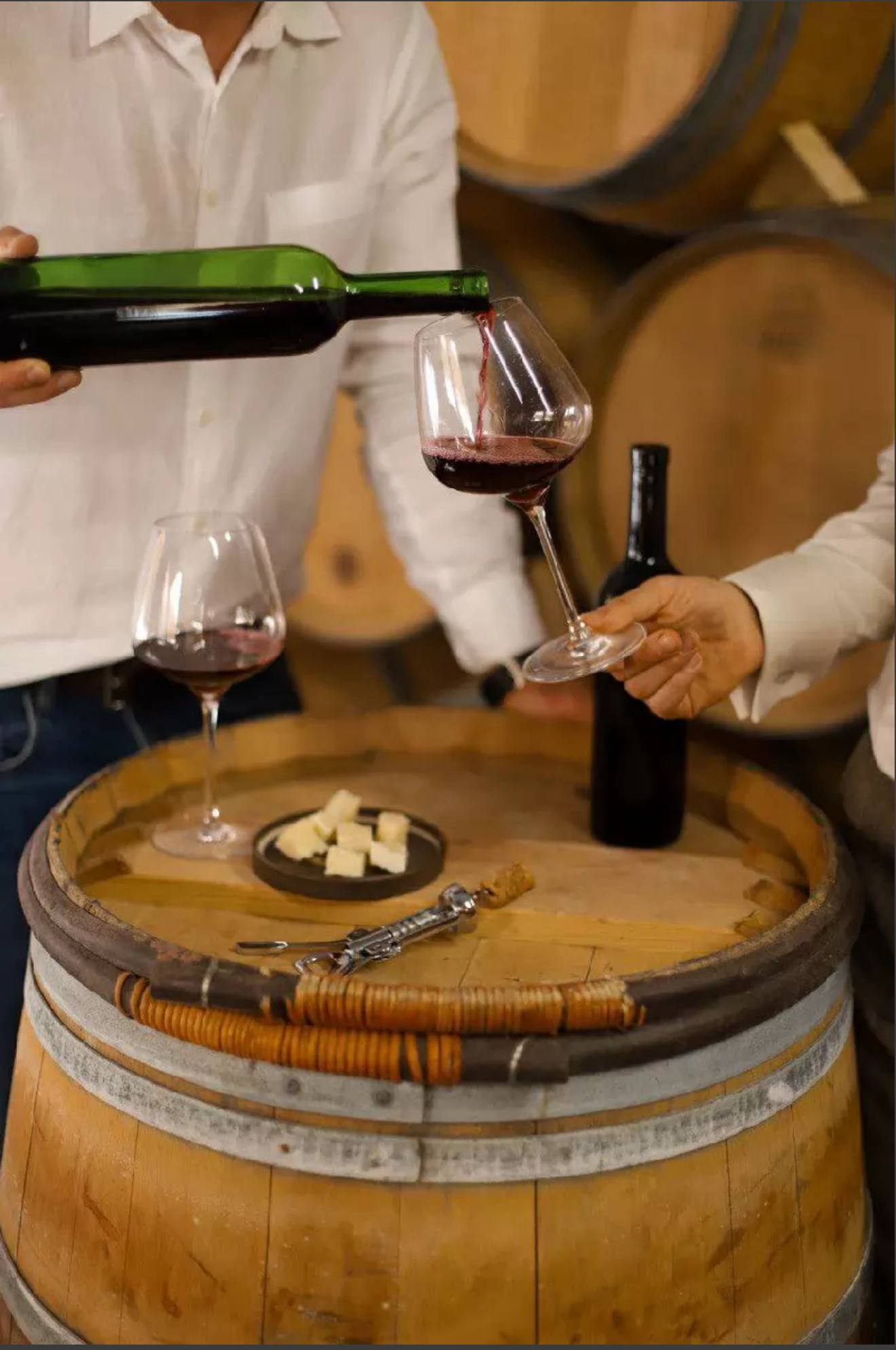 Поездка на винодельню в Московской области