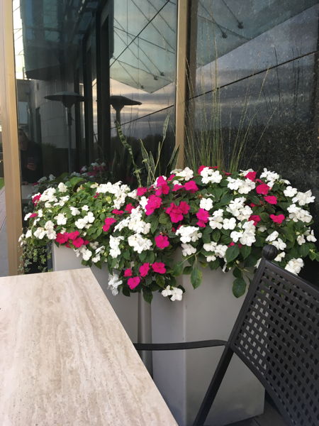 Балкон и терраса как полноценный сад: инструкция по применению