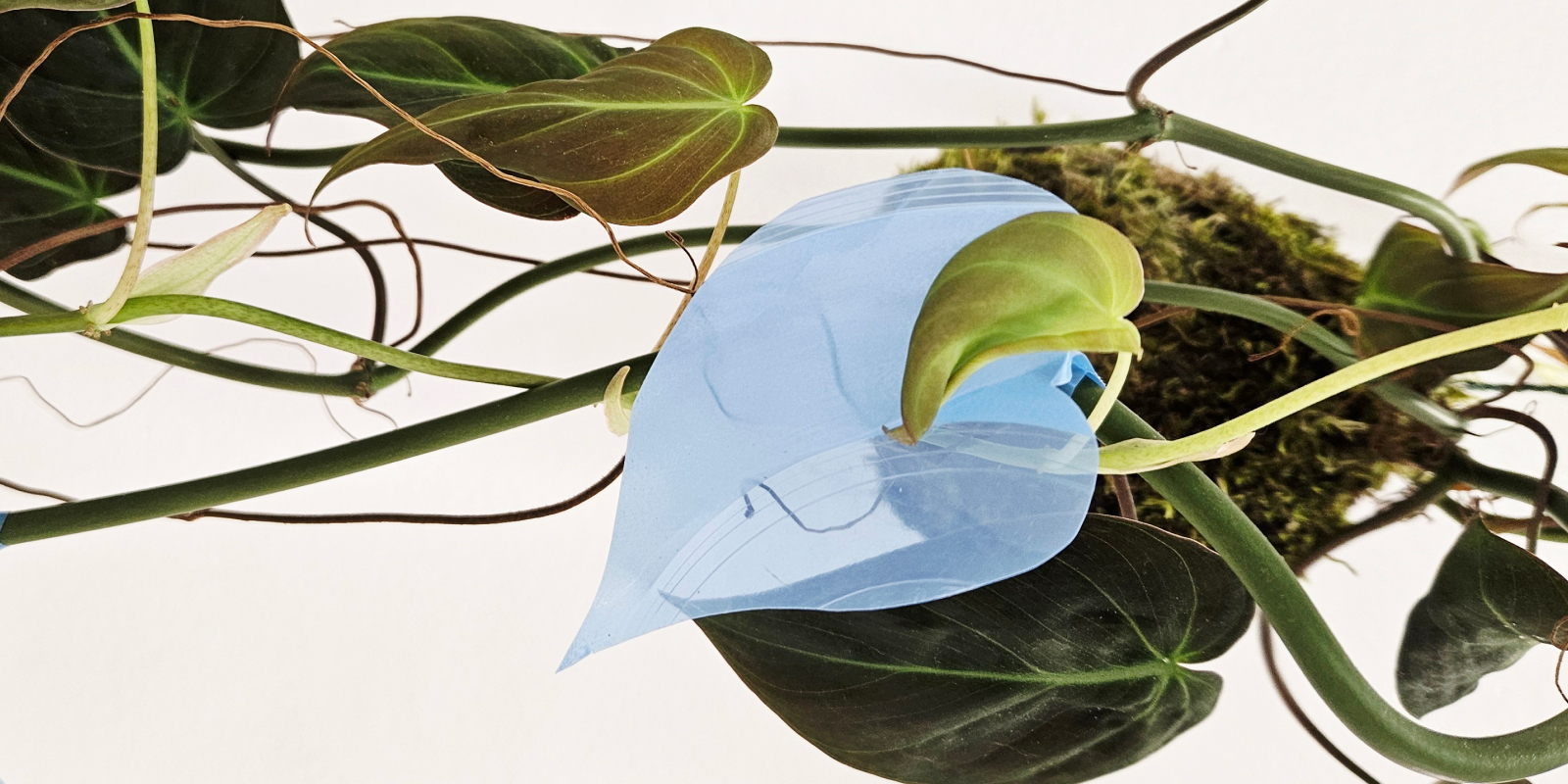 Посещение выставки «(Мыслимое) немыслимое» в новогодние дни 6-10 января