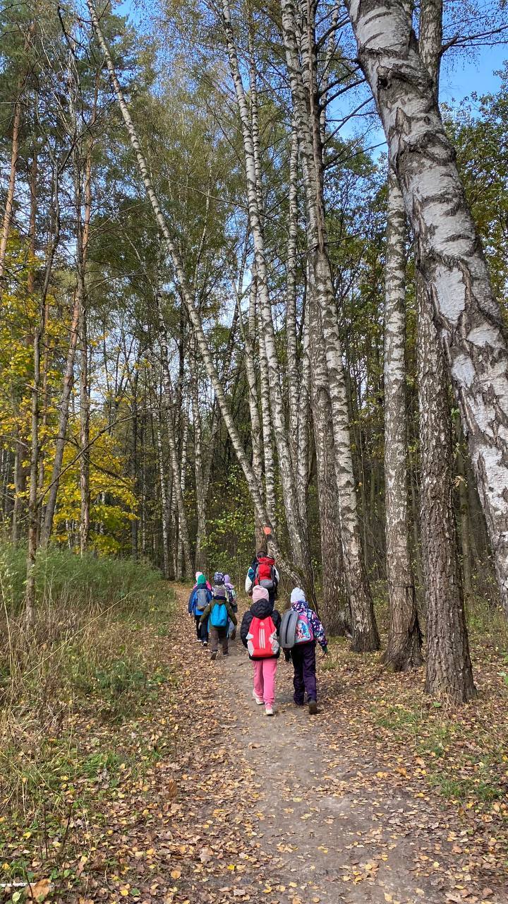 Поход "Тайны леса. Весна" для детей 7-14 лет. Митинский лесопарк. Инструктор Дмитрий Салманов