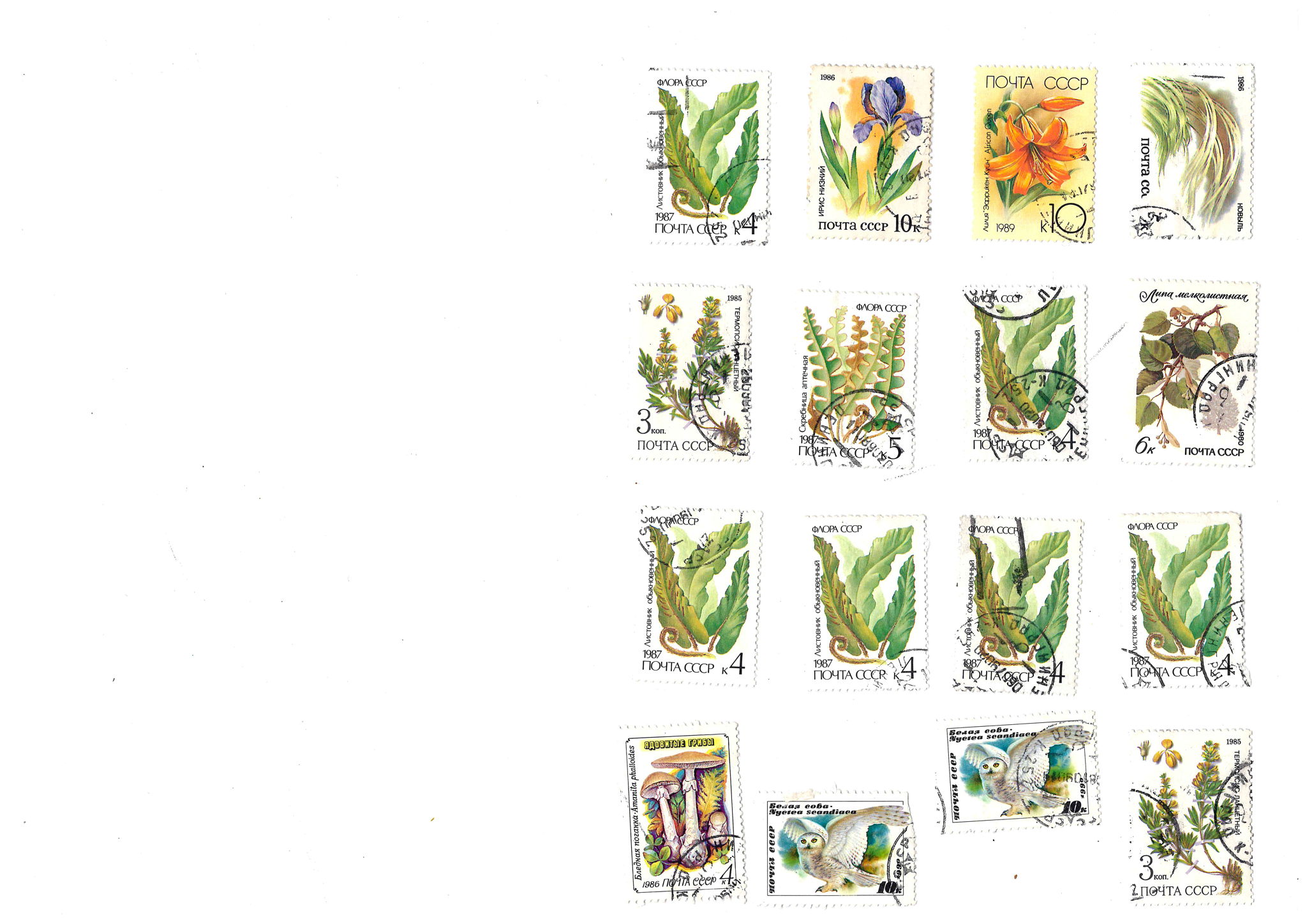 Филателия | Цех юннатов