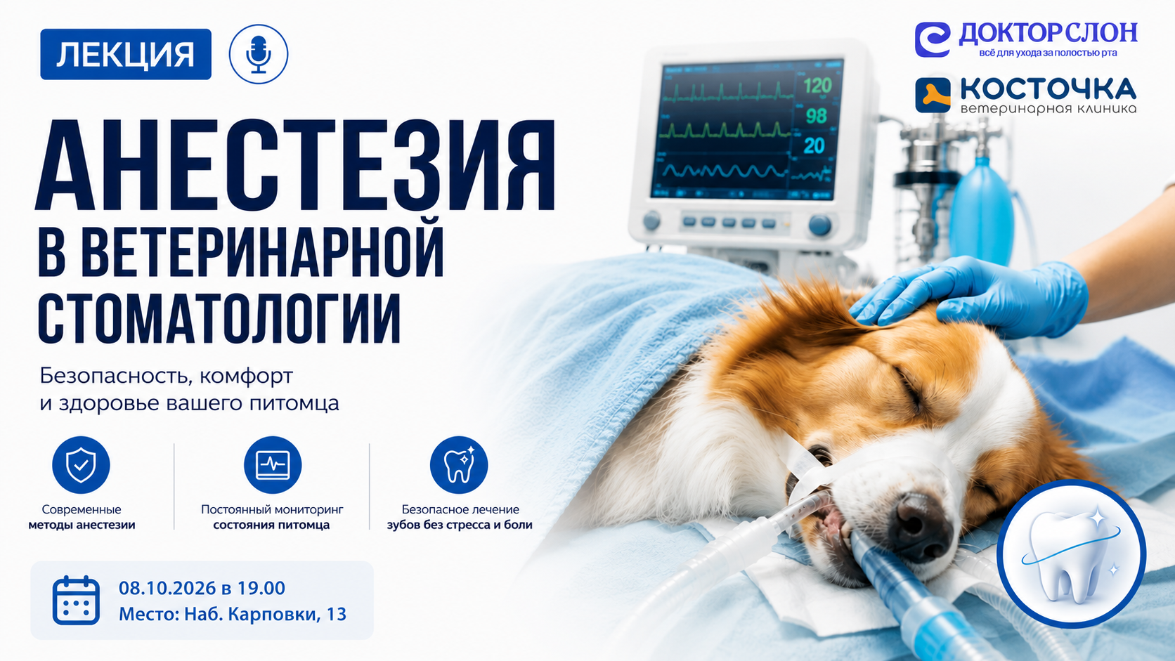 «Безопасная анестезия в ветеринарной стоматологии: от премедикации до пробуждения»