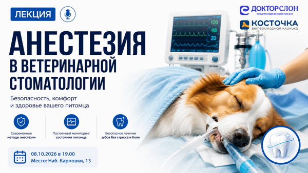 «Безопасная анестезия в ветеринарной стоматологии: от премедикации до пробуждения»
