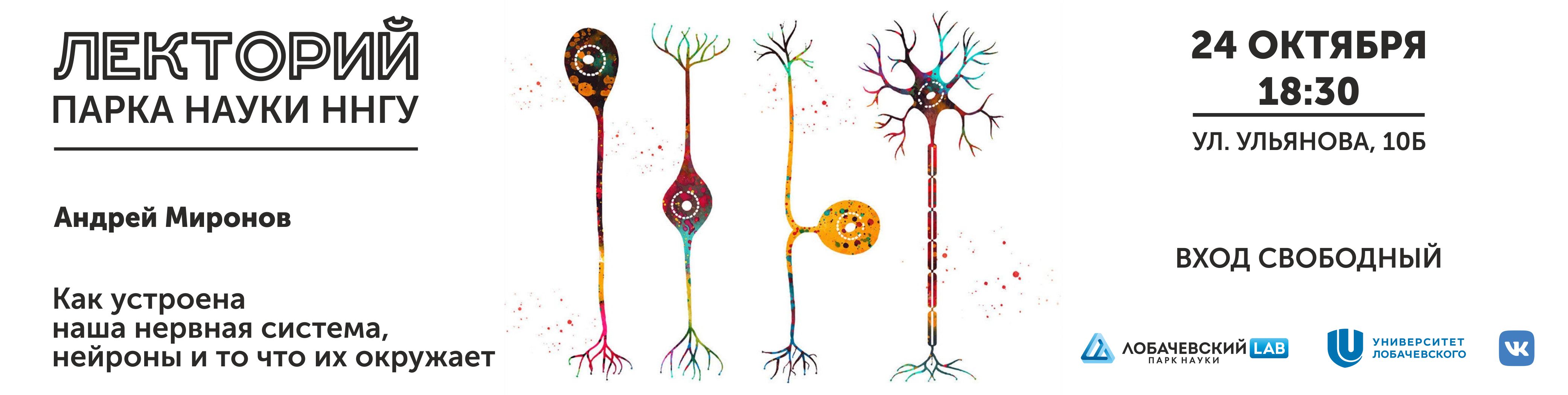 Какую роль играет нервная. Зеркальные Нейроны. Внеклеточный Матрикс в нервной системе. Зеркальные Нейроны мозга. Внеклеточная регистрация активности нейронов.