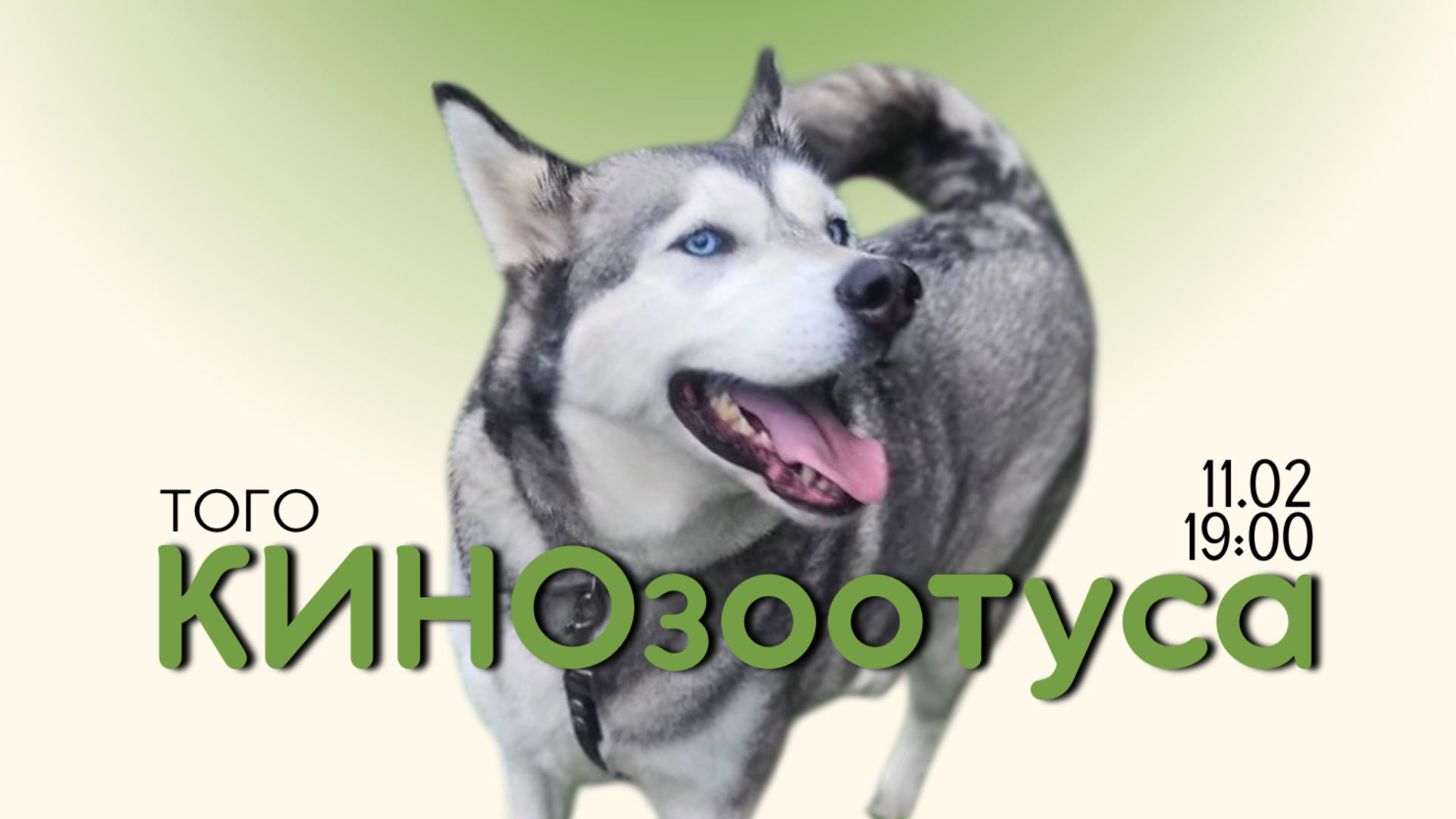 КИНОзоотуса