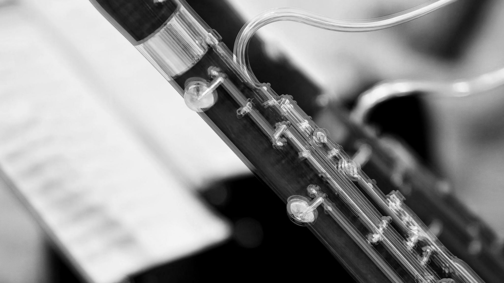 Новая и новейшая: Колористика, сонористика, сонорика