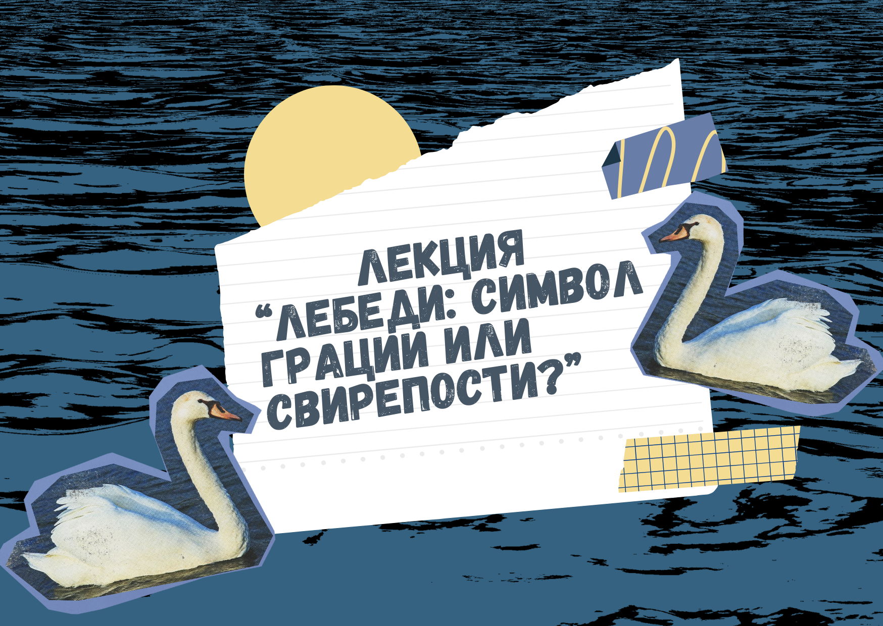 «Лебеди: символ грации или свирепости?»