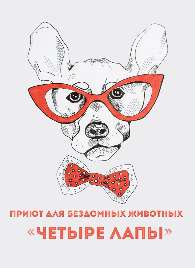 Приют "Четыре Лапы"