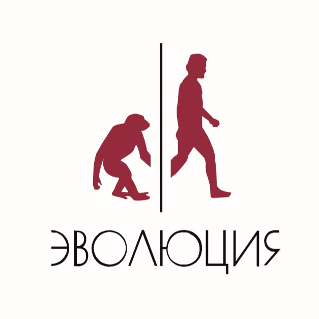 Просветительский фонд «Эволюция»