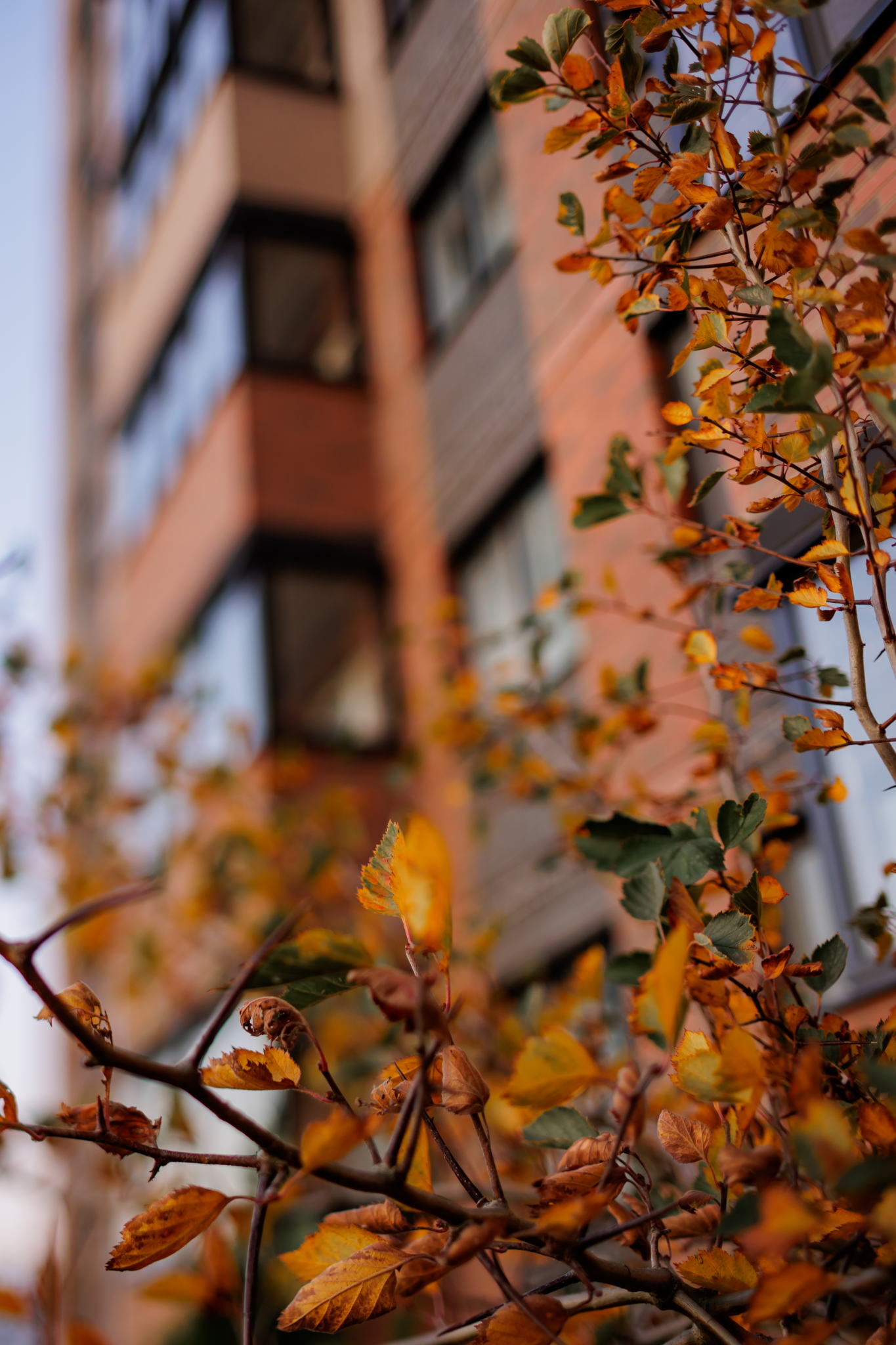 Вебинар «‎Всё о ЖК «Есенинские Поля»