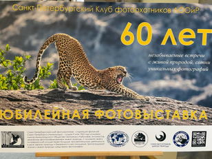 ОТКРЫТИЕ IV ФЕСТИВАЛЯ ПРИРОДНОЙ ФОТОГРАФИИ И ВЫСТАВКИ, ПОСВЯЩЁННОЙ 60-ЛЕТИЮ САНКТ-ПЕТЕРБУРГСКОГО КЛУБА ФОТООХОТНИКОВ ЛООиР