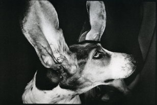 Альбом фотографий 1 — Альбом фотографий … История с бесконечным продолжением