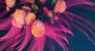 Искусство и наука: история неочевидных связей | Art &amp; Science: a history of inconspicuous connections
