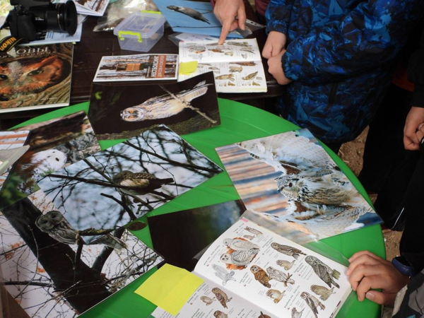 Интерактивный экологический класс «СОВ-местная жизнь»