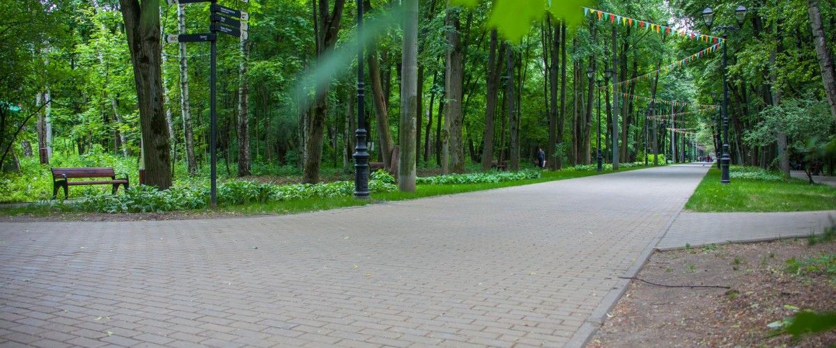 в 13:30 Летняя прогулка с орнитологом Дарьей Селивановой в парке Фили. 7+