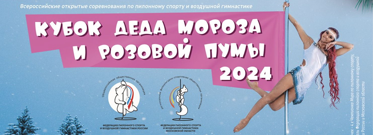 Кубок Деда Мороза и Розовой Пумы 2024