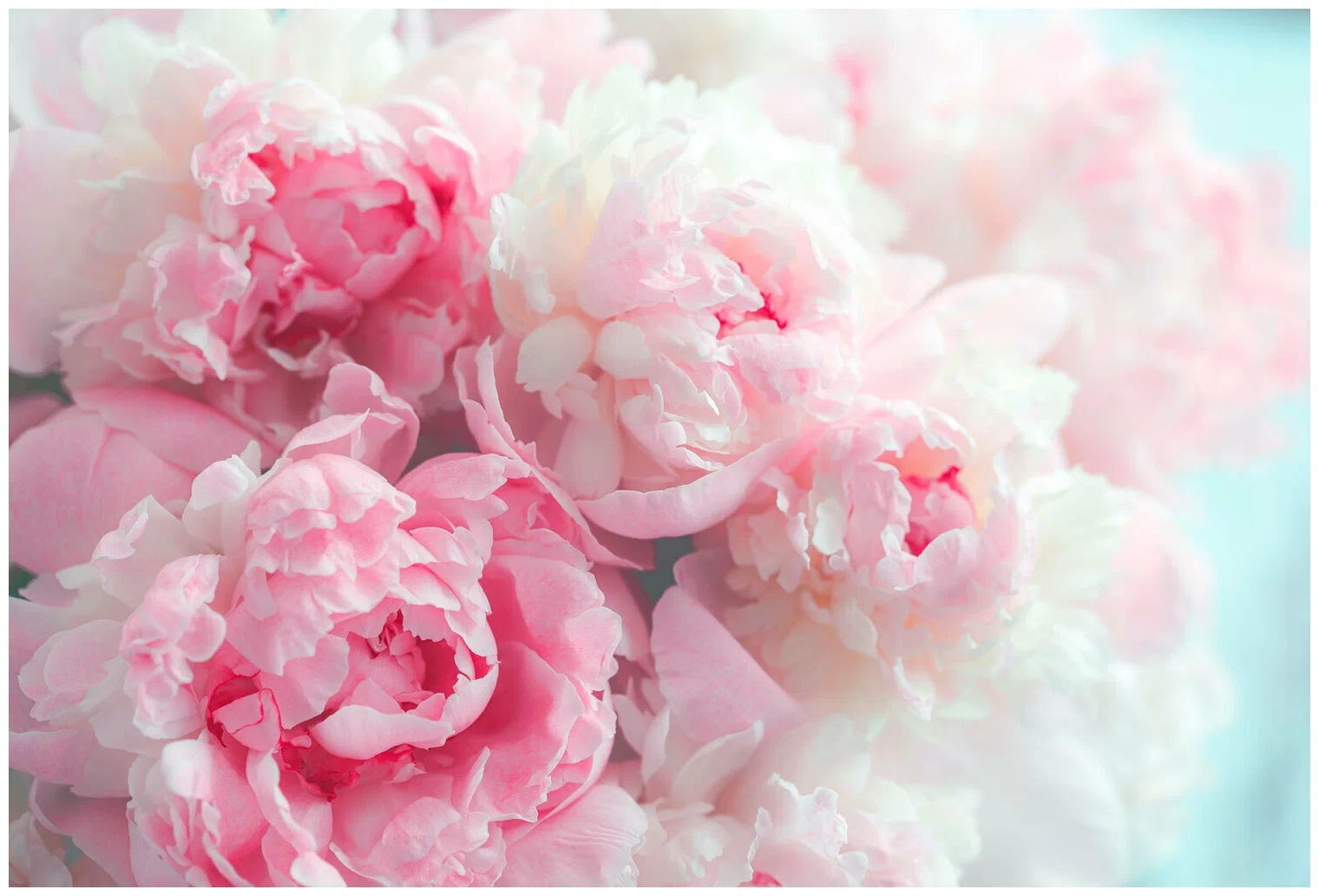 Бесплатная группа психологической поддержки 18+