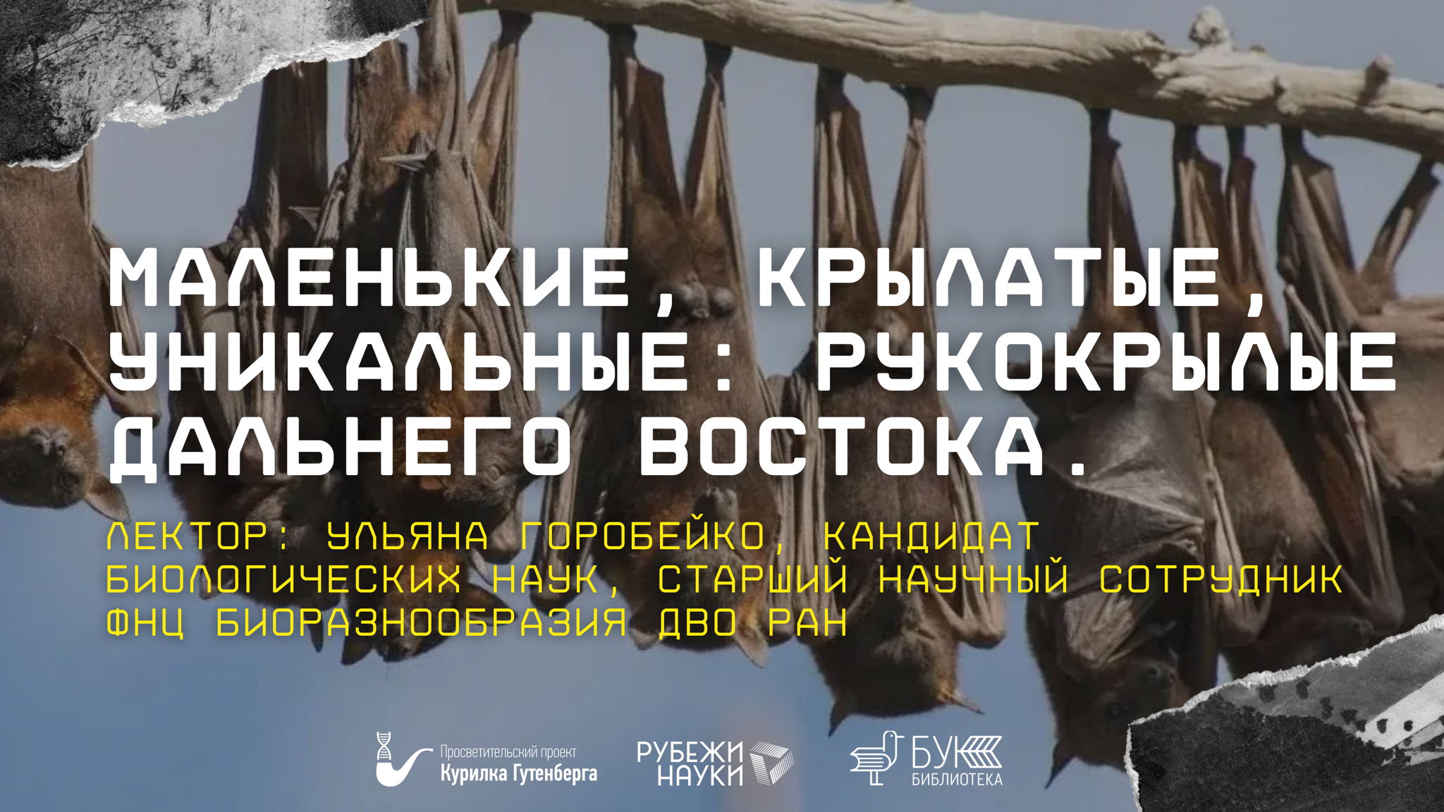 Научно-популярная лекция "Маленькие, крылатые, уникальные: рукокрылые Дальнего Востока"