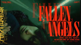 FALLEN ANGELS • WONG KAR-WAI NIGHT
