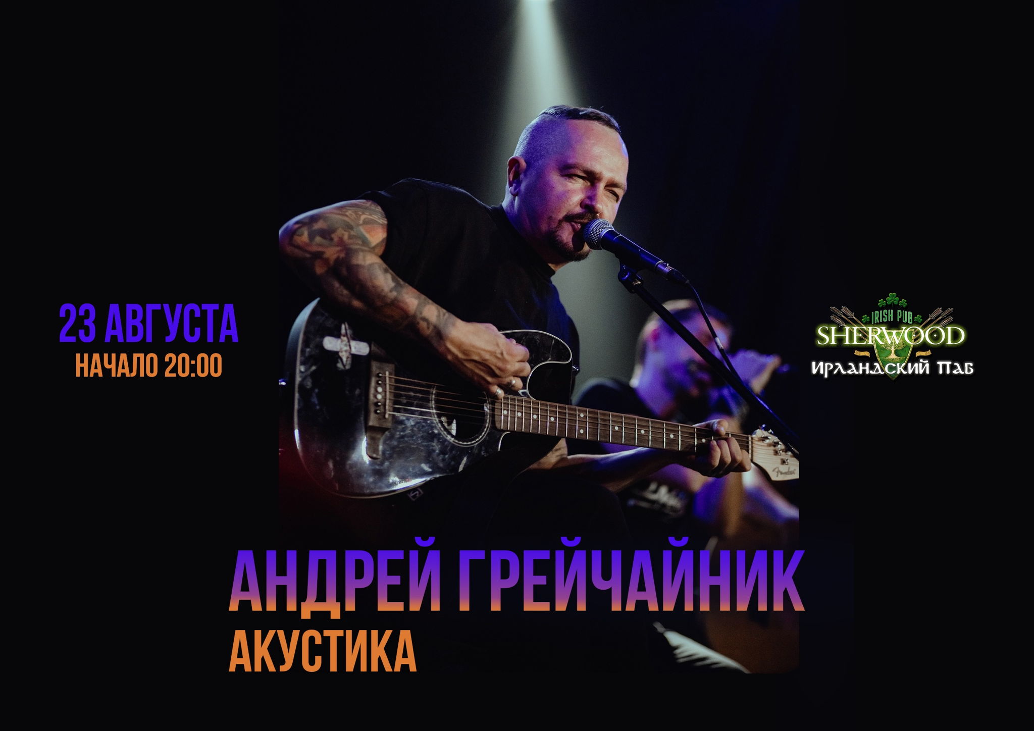 25 АНДРЕЙ ГРЕЙЧАЙНИК (ДМЦ) | АКУСТИКА, SHERWOOD PUB, МЫТИЩИ