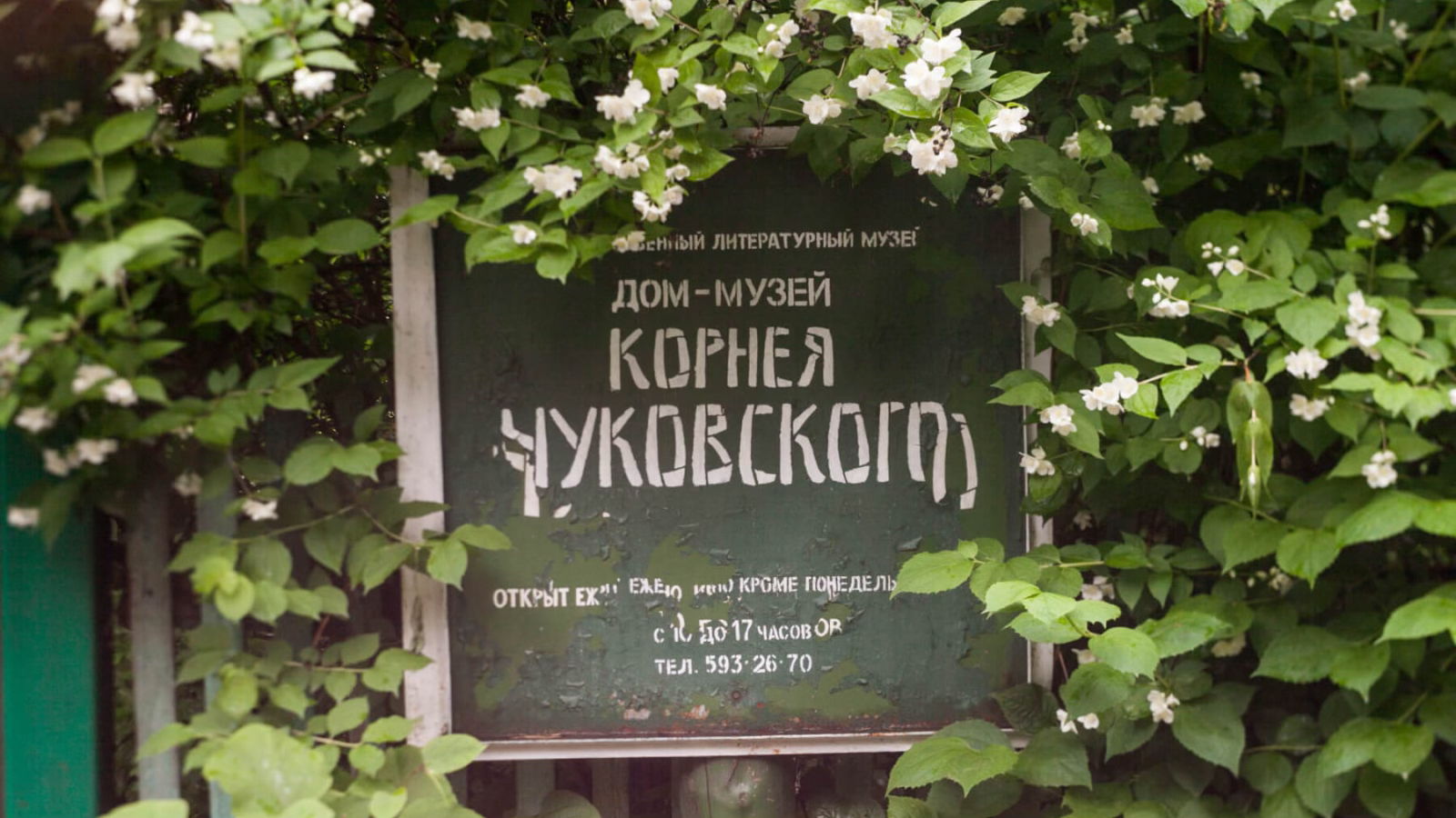 Экскурсия "В гости к Чуковскому с Павлом Крючковым"