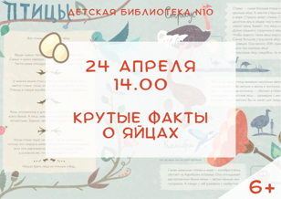 Крутые факты о яйцах (6+)