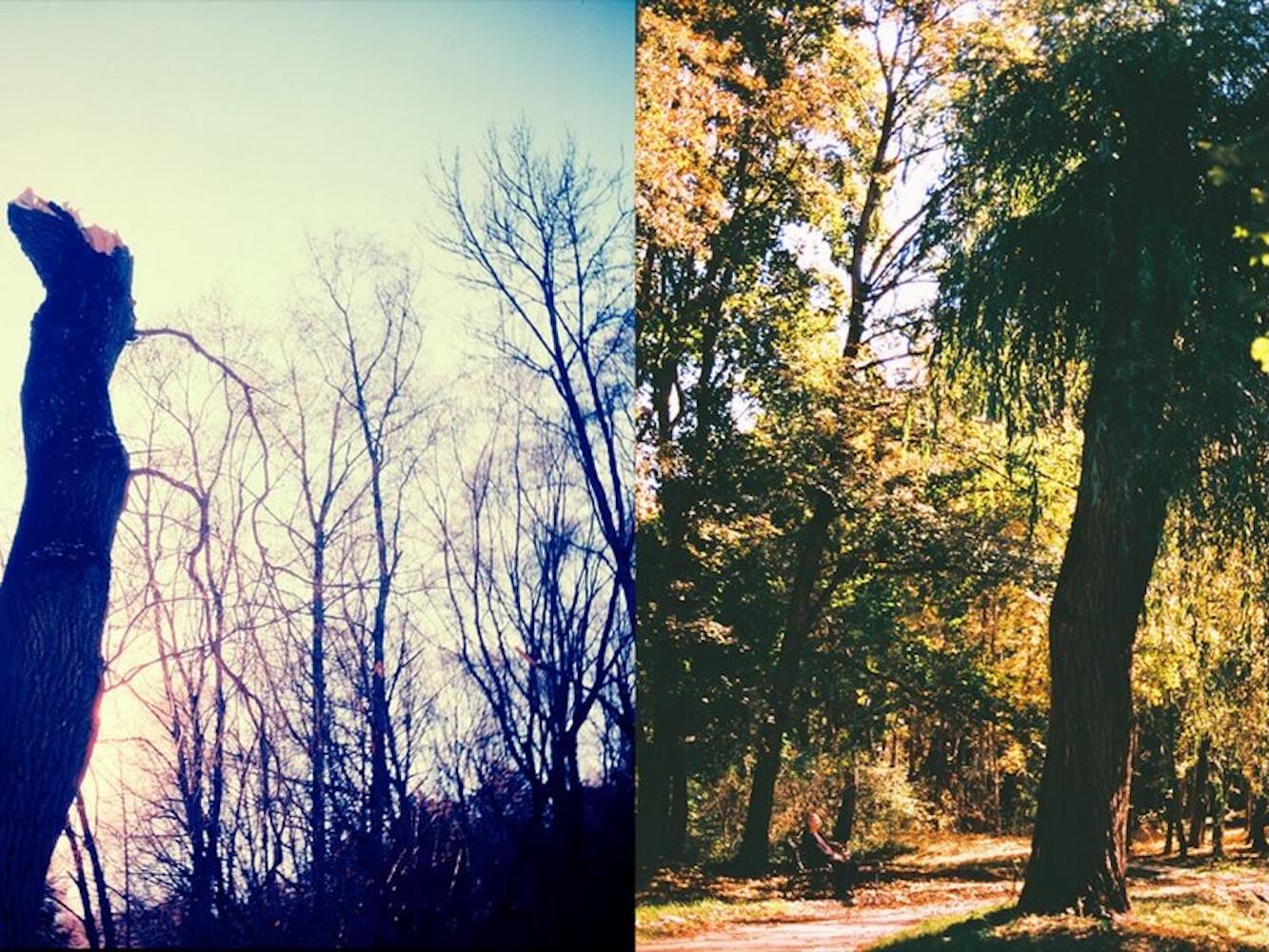 Авторская экскурсия по выставке «Зима, весна, лето, осень и снова зима»