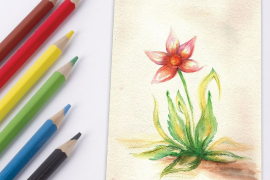 Акварельные карандаши. Графика и живопись  